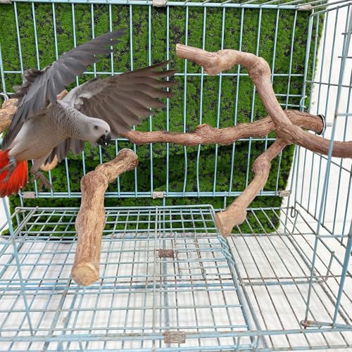 4PCS Bird Perch Natural Grape Stick Bird Standing Stick Grapevine (4PCS Natural Grape Stick)