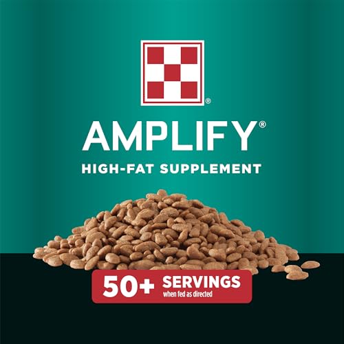 Amplify Equine (One Size)