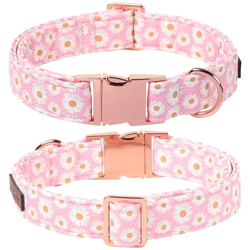 Floral Dog Collar with Sailor Bow (Pink Daisy(Sailor Bow) / X-Large (Pack of 1))