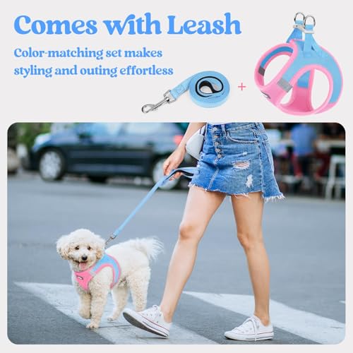 Dog Harness Medium Sized and Leash Set (Blue & Light Pink / L (chest: 18.2 - 20.5"))