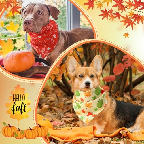 50 Pcs Thanksgiving Fall Dog Bandanas Bulk Pumpkin Maple Leaves Autumn Bandanas for Bibs Adjustable Scarf for Small Medium Large Pets Cats Costume (Leaves Pattern / 31.5 x 21.7 x21.7 Inch)
