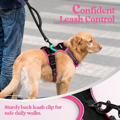 Dog Harness No Pull for Large Dogs with 2 Leash Clips (Large / Black & Hot Pink)