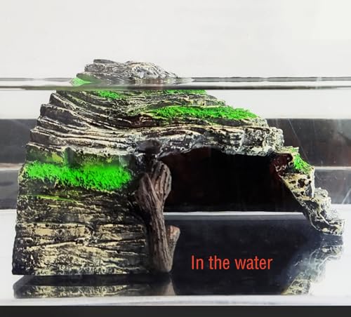 Reptile Hide Cave
