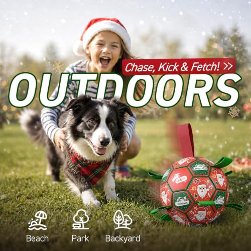 Christmas Dog Balls with Straps (Christmas 1 / Medium Size 2 (6 Inch))
