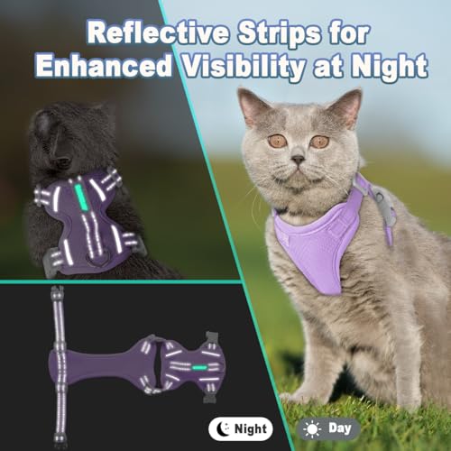 Cat Harness and Leash Set Escape Proof for Kitten Walking (Small / Violet Purple)