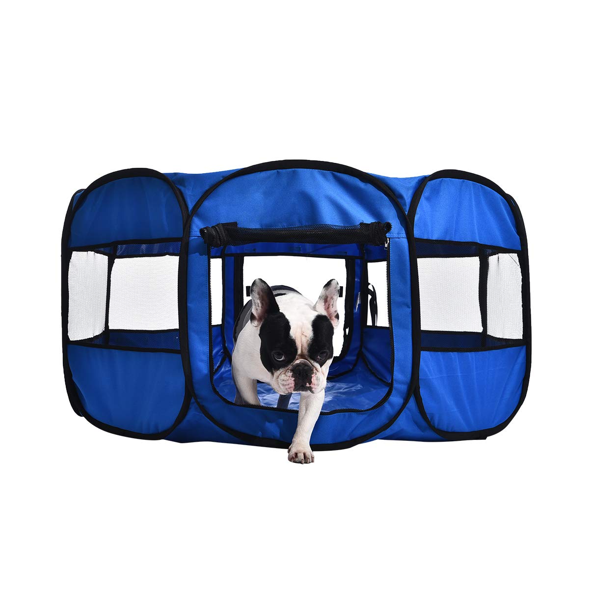 Foldable Octagonal Indoor (Blue / 45")