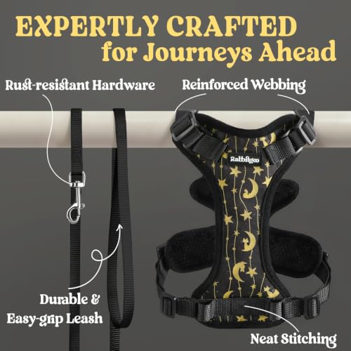 Cat Harness and Leash Set (Xxs / Lunar Prowl)
