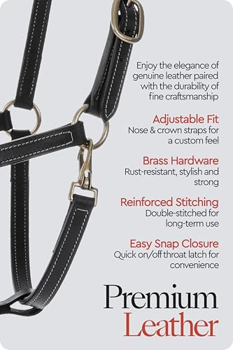 Fremont Soft Synthetic Leather Horse Halter (Black / Cob)