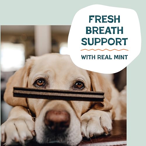 Carrot & Mint Dental Chews for Dogs (1.75 Pound (Pack of 1))