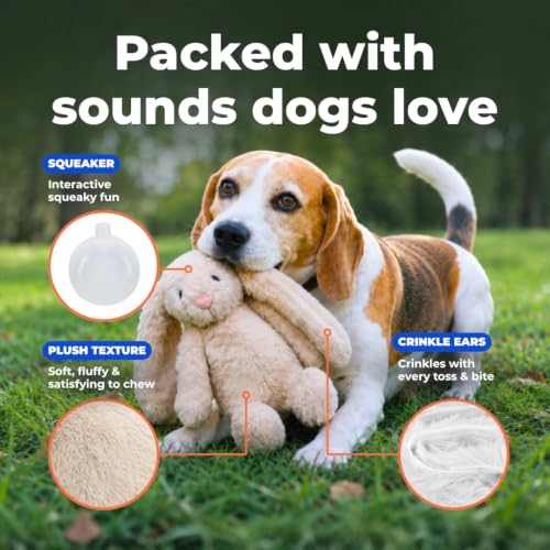 Bunny Buddy Squeaky Plush Dog Toy (Bunny (Beige) / Large)