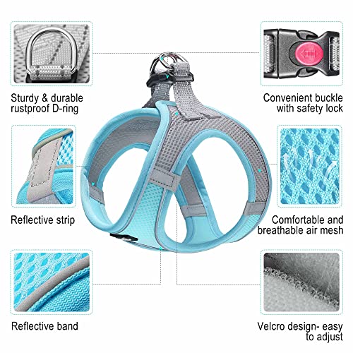 Dog Harness with Leash Set (M / Grey / Blue)