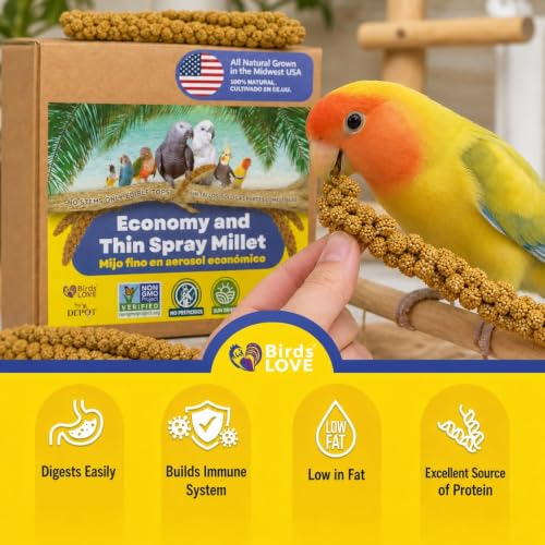 1lb Economy & Special Spray Millet for Birds (1 Pound (Pack of 1))