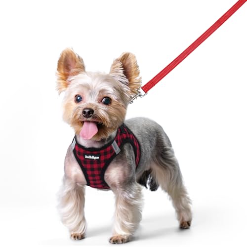 Dog Harness Small Sized and Leash Set (Red Check / Xxs (chest: 12.4 - 14.2"))