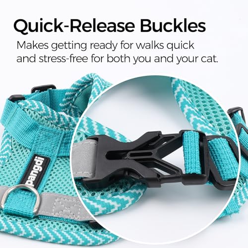 Cat Harness and Leash Set (Turquoise / X-Large)