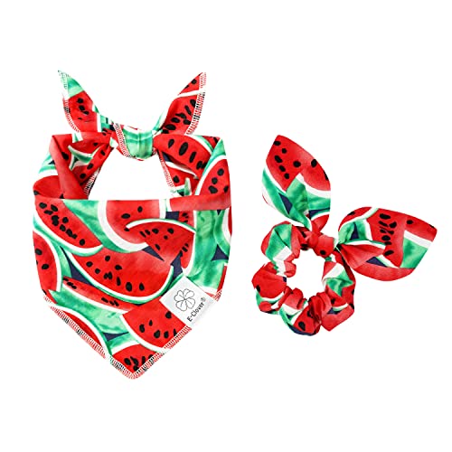 Summer Dog Bandanas Girl Matching Dog Bandana and Scrunchie Large (watermelon / Large-set of 1)