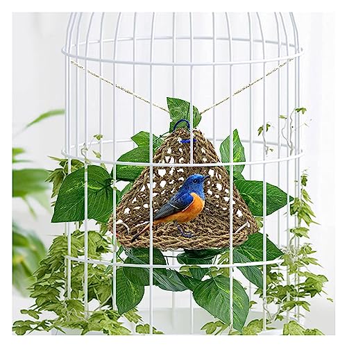 3 PCS Parrot Seagrass Mat
