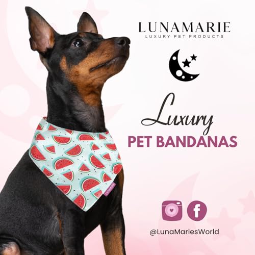 Luxury Dog Bandanas (Watermelon / Medium)