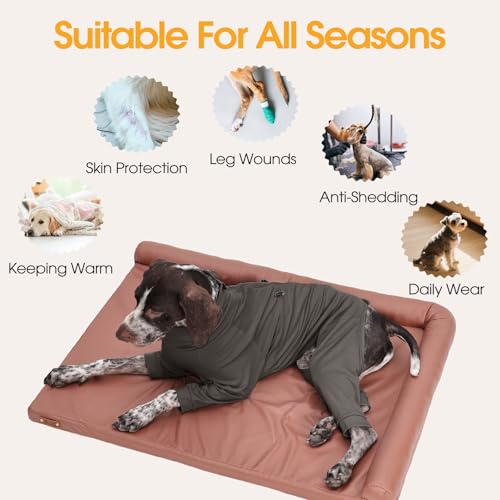 Adjustable Recovery Suit for Small Dogs (Grey / S)