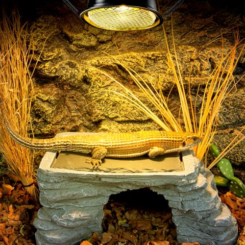 G9 Reptile Heat Lamp Bulb & Reptile Light Fixture with Safety Mesh Kit