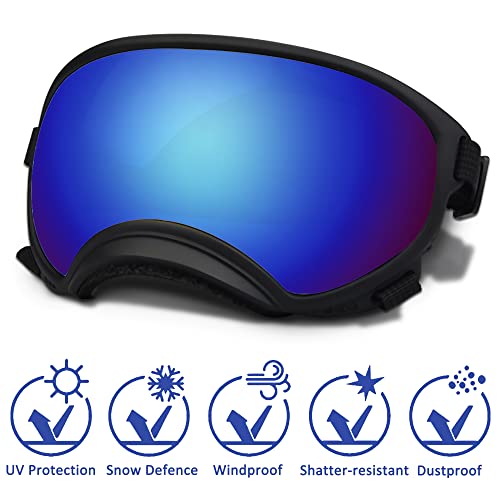 Large Dog Sunglasses