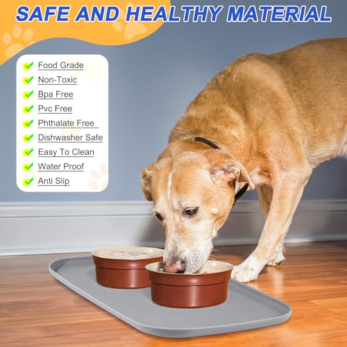 Waterproof Silicone Pet Food Mat with Raised Edge for Dog & Cat (Light Gray / 24"L x 16"W)