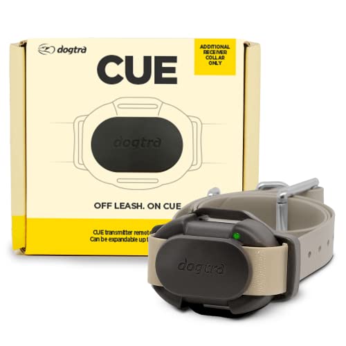 CUE Add On Black Ecollar with Safety Level Lock Boost Vibration Waterproof Rechargeable for Small Medium Large Dogs Dog Training Collar by Dogtra (CUE Receiver Only - Grey)