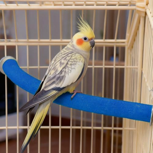 90 Degree Parrot Perch for Cage Corner (Large / Blue-corner-90)