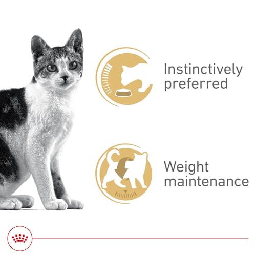Feline Health Nutrition Adult Instinctive Adult Thin Slices in Gravy Cat Food (3 Ounce (Pack of 18))