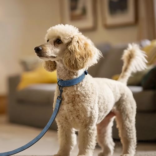 PU Leather Dog Collar and Leash Set (M: Neck 11-15", Width ¾" / Blue Set)