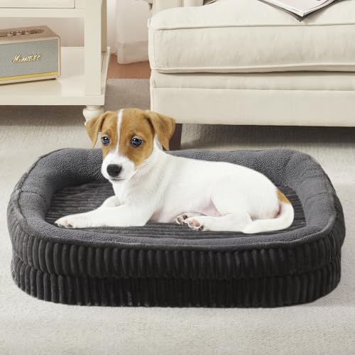 Orthopedic Dog Bed for Small Dogs Breeds (Dark Gray / 25"L x 21"W x 5.5"Th)