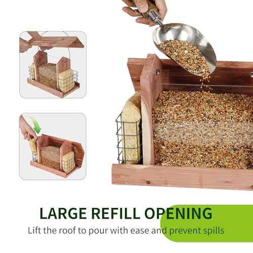 Solution4Patio Squirrel (Rectangle)
