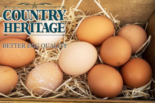 Country Heritage 50LB Chicken Layer Crumble 16% Protein (Layer Crumble / 50 Pound (Pack of 1))