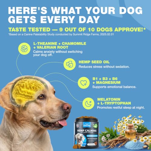 Hemp Calming Chews for Dogs Anxiety Relief & Calming Treats with Melatonin (180 count / Duck Flavor Calming Chews)
