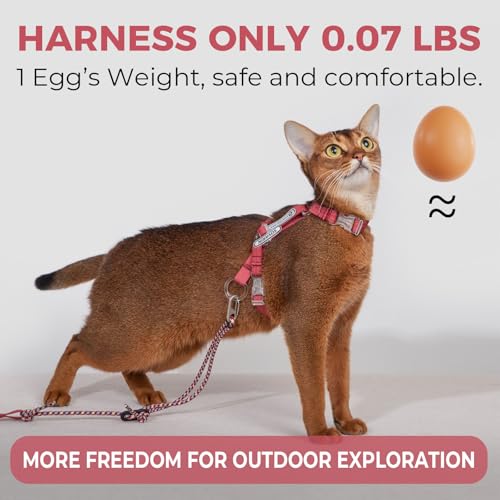 Cat Harness and Leash Set (Red)