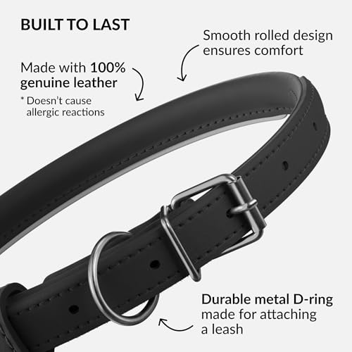 Tangle Free Reflective Leather Dog Collar (Black / XS)