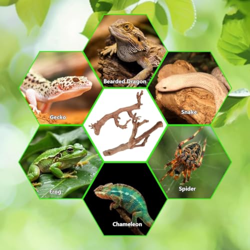 2PCS Reptile Wood Branches Decor (2Pcs 9.8in Grapewood Branches)