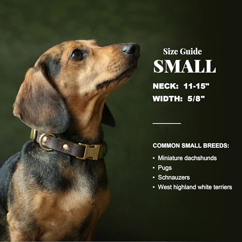 PU Leather Dog Collar for Small Dogs Puppy (Olive Green / S: Neck 11-15", Width ⅝")
