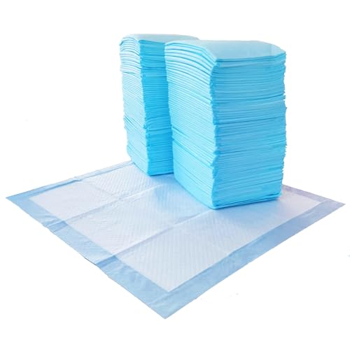 Scented Dog and Puppy Potty Training Pee Pads (100 Count / Regular (22"×22"))