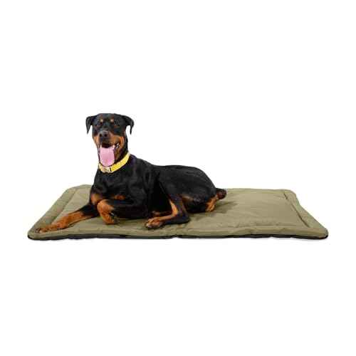 Tough Ripstop Dog Crate Pad (X-Large (47" L x 29" W) / Sage Green)