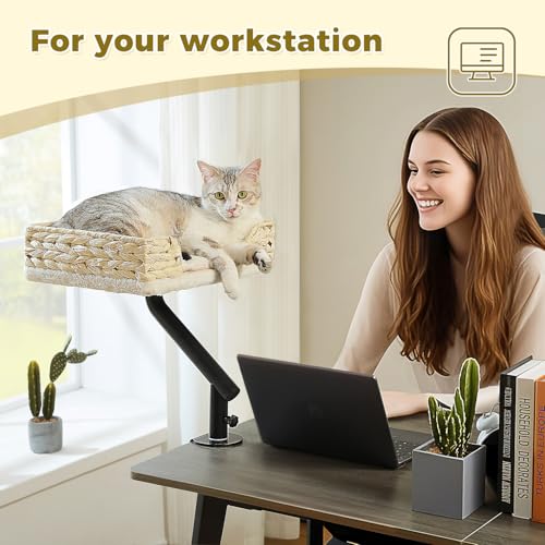 Cat Desk Bed for Indoor Cats (Beige)