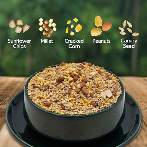 Clean & Free No Mess Wild Bird Seed (12 Pounds (No Mess))