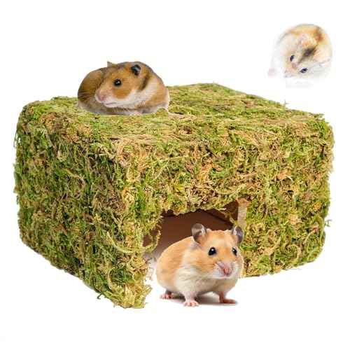 Hamster Hideout (Square, Large)