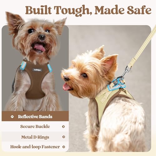 Dog Harness Small Sized and Leash Set (Brown & Beige / Xxs (chest: 12.4 - 14.2"))
