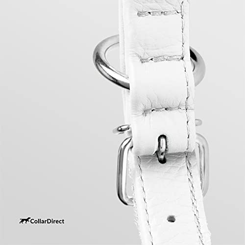 Tangle Free Rolled Leather Dog Collar (White / XXS)