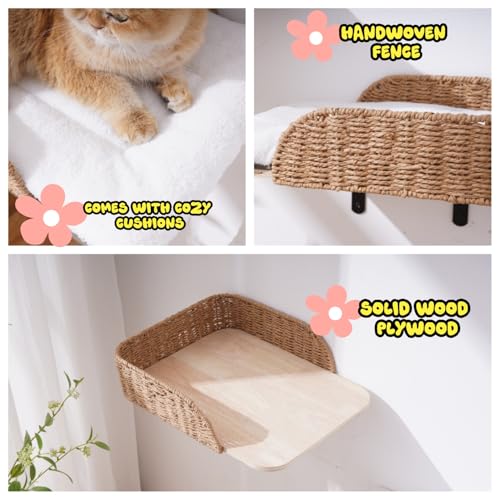 2 Pack Wall Mounted Cat Bed Perch (F)