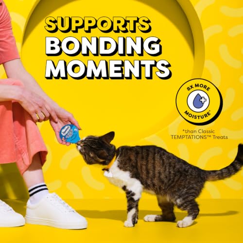 Lickable Spoons Wet Cat Treats (4 Count (Pack of 12))