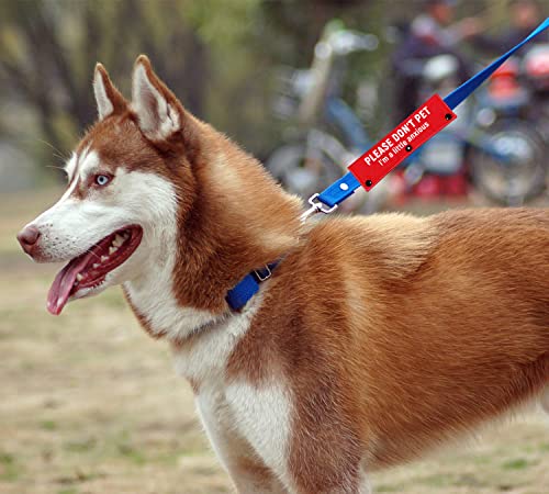 I'm a Little Anxious Red Dog Leash Sleeve