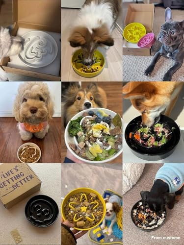 Ceramic Slow Feeder Dog Bowls Small Breed (Angle White+Stand / S-0.6 Cups)