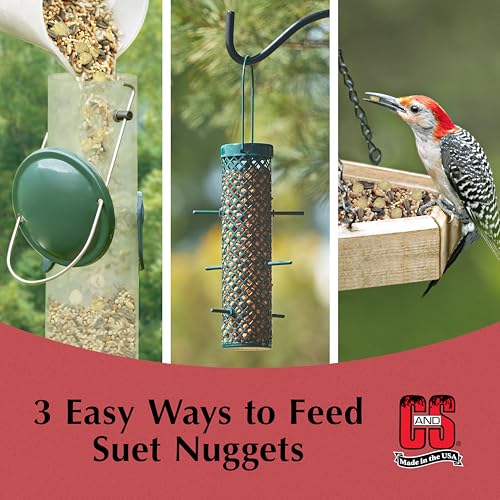 Peanut Suet Nuggets (8 Pound (Pack of 1))