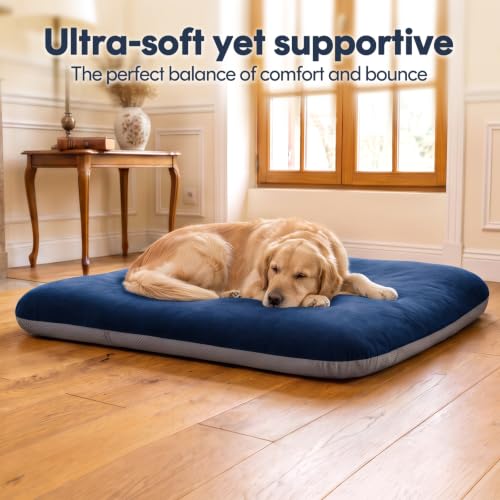 Super Soft Large Dog Bed (39.0"L x 33.5"W x 4.0"Th / Blue)